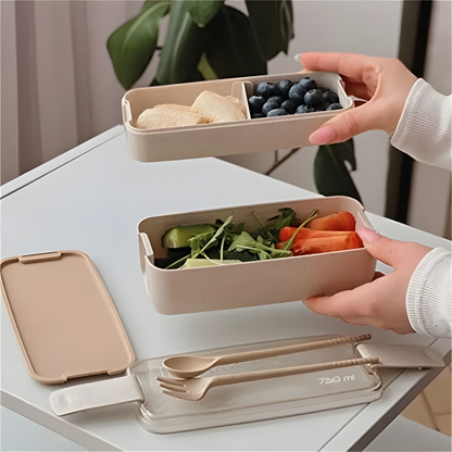 Luncbox Mini